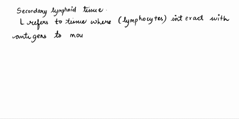 which-are-examples-of-structures-composed-of-secondary-lymphoid-tissue-select-all-that-apply-bone-marrow-tonsils-adenoids-thymus-spleen-64504