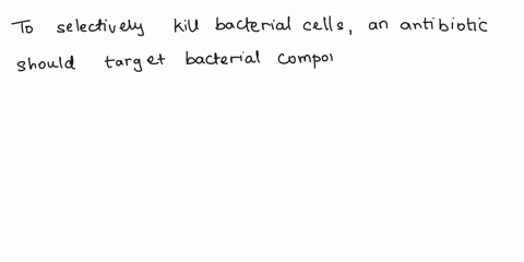 if-you-want-an-antibiotic-t0-specifically-kill-the-bacterial-cells-without-affecting-the-human-cells-the-antibiotic-should-target-the-mark-all-that-apply-cholesterol-in-the-cell-membrane-80s-19192
