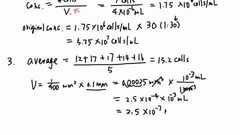 i-need-help-answering-the-questions-23456-in-the-attached-photo-thank-you