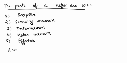 name-the-parts-of-a-reflex-and-describe-how-a-reflex-works-91132