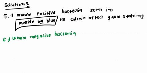 what-color-are-gram-positive-cells-at-the-end-of-the-gnm-staining-procedure-what-color-are-gram-negative-cells-at-the-end-of-the-gram-staining-procedure-does-the-age-of-a-bacterial-culture-e-58294