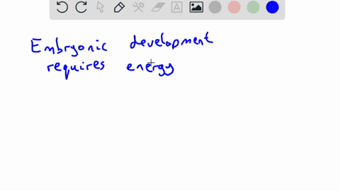 why-does-a-human-egg-not-need-to-contain-a-food-store-for-the-embryo-35933