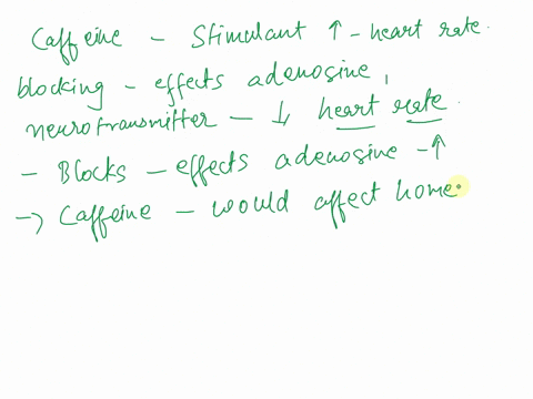 why-caffeine-increases-the-heart-rate-how-would-the-addition-of-caffeine-affect-the-homeostasis-in-daphnia-and-humans-please-answer-in-a-short-paragraph-95874