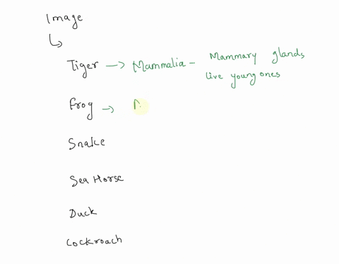 animalia-is-the-largest-kingdom-among-the-five-major-kingdoms-of-classification-they-have-many-specilic-characteristics-which-makes-it-a-unique-kingdom_-based-on-your-knowledge-of-animals-an-69012