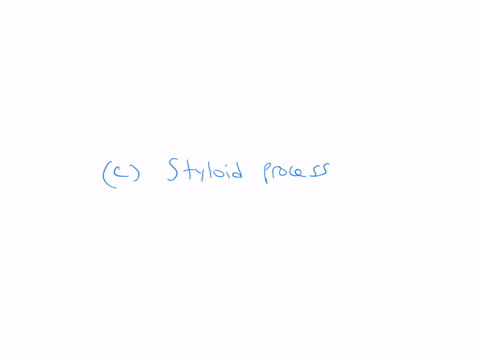 the-anteroomedial-surface-of-parotid-galnd-related-to-which-of-the-following-structure-a-sternocliodomastiod-muscle-b-mastiod-process-c-styliod-process-d-posterior-belly-of-diagastric-muscle-e-ramus-o
