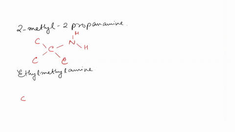 draw-the-structures-of-the-following-amines-and-classify-each-a5-atoms-yaur-struclures-2-3-074-amine-include-hydrogen-2-methyl-2-propanamine-cinuimtelhvlamine-nmethylethanamine-amine-amine-a-61431