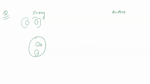 a-ripened-ovary-is-a-truit-ahu-d-pc-zygote_-draw-and-label-the-cells-within-the-pollen-male-observe-a-diagram-of-a-lilly-anther-sac-draw-and-label-an-egg-within-the-ovule-diagram-of-a-lily-o-33716