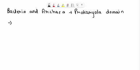which-is-a-kingdom-in-the-eukarya-domain-a-bacteria-b-archaea-c-protobionta-d-protista-24173