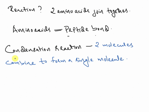 what-type-of-reaction-takes-place-when-two-amino-acids-join-together-35606