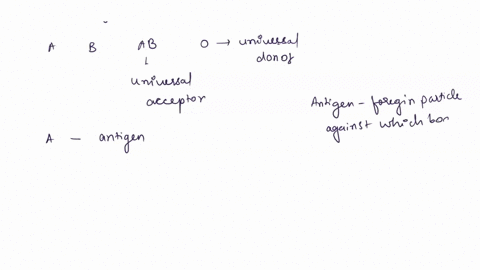 blood-type-depends-on-the-presence-surface-antigens-on-the-rbc-if-you-have-lype-blood-zntibodies-will-attark-type-surface-antigens-i-plasmz-contains-anti-antibodies-wf-these-spedk-select-one-25568