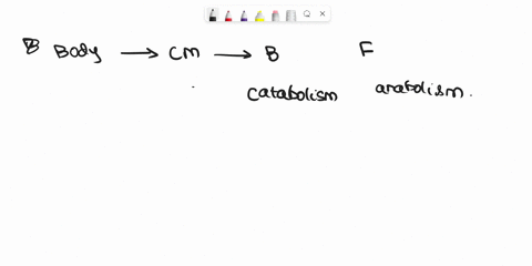 describe-the-difference-between-anabolic-and-catabolic-metabolic-pathways-give-an-example-of-each-66964