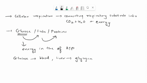 discuss-three-3-types-of-energy-sources-used-by-cells-then-provide-two-2-examples-of-when-in-what-cells-situations-your-chosen-energy-sources-are-used-next-describe-two-2-forms-of-transport-09408