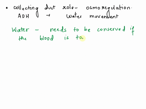 describe-how-the-collecting-duct-of-the-human-kidney-participates-in-osmoregulation-how-does-antidiuretic-hormone-aka-vasopressin-regulate-water-movement-in-the-collecting-duct-16872