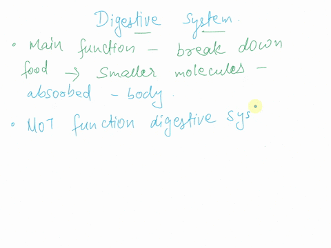 digeslivc-0y3-ddln-objective-501-_-describe-the-basic-functions-of-the-digestive-system-what-is-the-main-function-of-the-digestive-system-hold-and-receive-food-control-ihe-chemical-activilie-30552