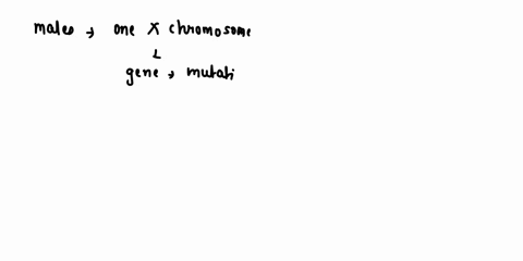 xlinked-recessive-disorders-attect-more-temales-than-males-59-tnue-fakse-003727-true-false-rool-10698