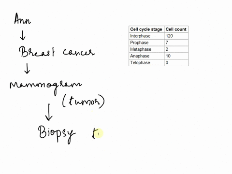 annas-doctor-is-worried-enough-to-send-her-to-a-breast-cancer-specialist-just-to-be-safe-ann-makes-an-appointment-and-is-referred-for-a-mammogram-which-will-image-the-soft-tissue-in-the-brea-6068