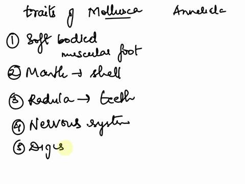 list-the-traits-common-to-the-phylum-mollusca-list-the-traits-common-to-the-phylum-annelida-32265