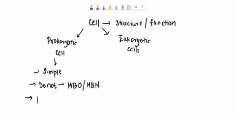 select-all-that-apply-which-of-the-following-are-characteristics-of-eukaryotes-a-single-or-multi-celled-structure-b-no-distinct-nucleus-c-membrane-bound-organelles-d-cells-larger-than-prokar-65734