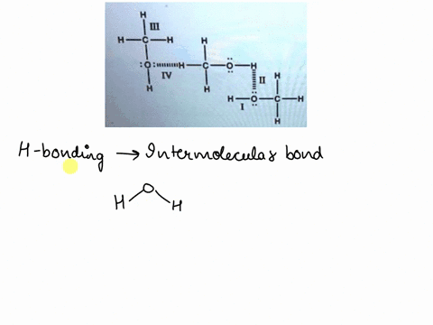 three-methanol-choh-molecules-are-shown-below-which-of-the-labeled-interactions-are-hydrogen-bonding-interactions-lh-0iih-1-il-ill-and-iv-il-and-iv-il-and-iv-i-only-and-il-allare-hycrogen-bo-01766