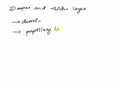 the-reticular-layer-of-the-dermis-a-provides-strength-and-elasticity-to-the-skin-b-is-composed-of-loose-connective-tissue-c-insulates-to-prevent-heat-loss-d-forms-the-dermal-papilla-85234