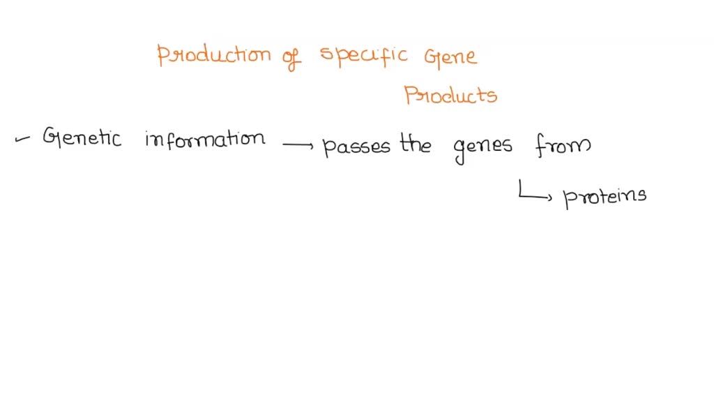 How Does Environmental Factors Affect Gene Expression