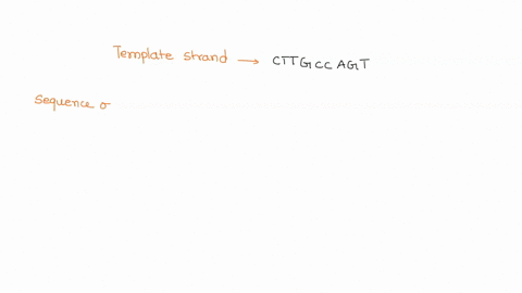 the-template-strand-of-a-gene-being-transcribed-is-cttgccagt-what-will-be-the-sequence-of-the-rna-ma-87843