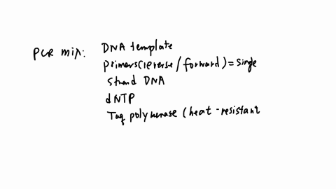 what-statments-are-true-about-polymerase-chain-reaction-select-the-sentences-that-apply-a-when-pcr-ends-the-fragments-are-equal-in-length-b-in-pcr-primers-are-made-from-dna-which-must-be-add-83817