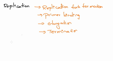 rank-the-following-components-of-dna-replication-in-the-correct-order-that-they-are-needed-for-replication-to-properly-occur-from-first-1-to-last-5-dna-polymerase-nuclease-helicase-ligasepri-61863