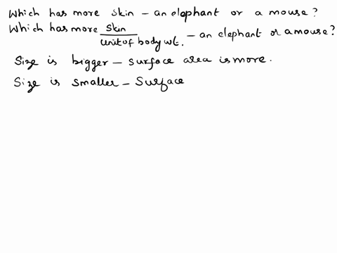 which-has-more-skin-an-elephant-or-a-mouse-which-has-more-skin-per-unit-of-body-weight-an-elephant-or-a-mouse-64669
