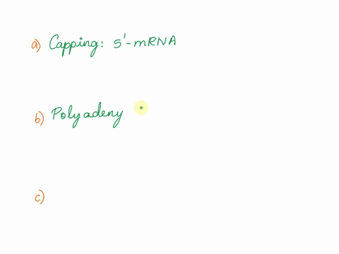 name-and-describe-two-ways-in-which-eukeukaryoticaroytic-mrna-is-altered-after-transcription-but-prior-to-translation-36064