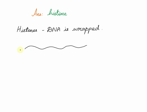 proteins-are-crucial-to-human-life-in-fact-proteins-play-a-crucial-role-in-the-organization-of-the-genetic-material-of-every-cell-in-the-body-given-you-understanding-of-the-physical-structur-11639