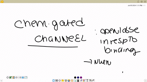 which-of-the-following-is-an-example-of-a-chemically-gated-channel-question-9-options-1-potassium-channels-in-action-potentials-2-sodium-channels-in-action-potentials-3-calcium-channels-in-axon-termin