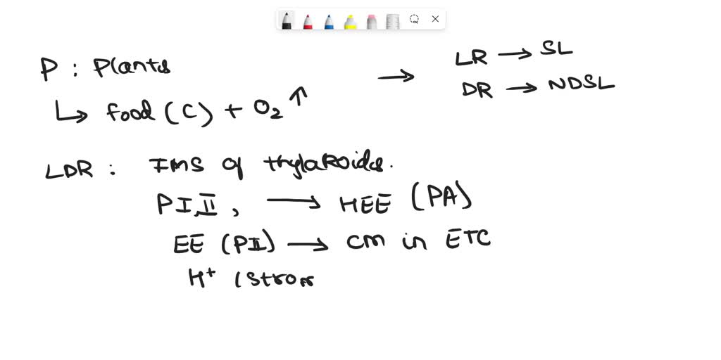 SOLVED: Perbedaan reaksi terang dan reaksi gelap pada fotosintesis yang
