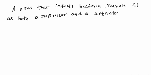 lambda-repressor-ci-acts-as-both-a-repressor-and-an-activator-explain-the-role-of-ci-as-both-a-repressor-and-activator-25446
