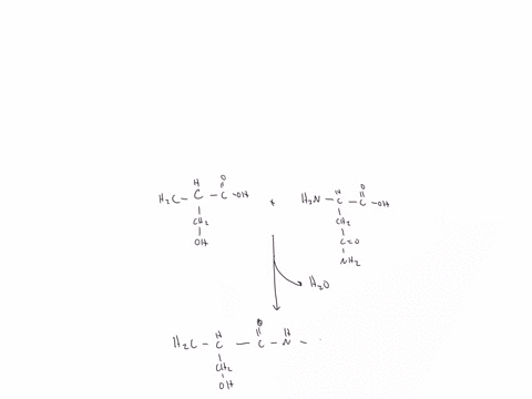 below-are-the-structures-of-the-amino-acids-serine-and-asparagine-show-in-one-step-the-mechanism-for-the-formation-of-a-peptide-bond-between-them-and-draw-the-product-that-results-hnnc-oh-h-62386