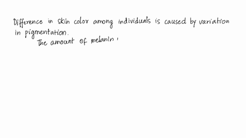 what-causes-the-variations-in-skin-colors-among-humans-35365
