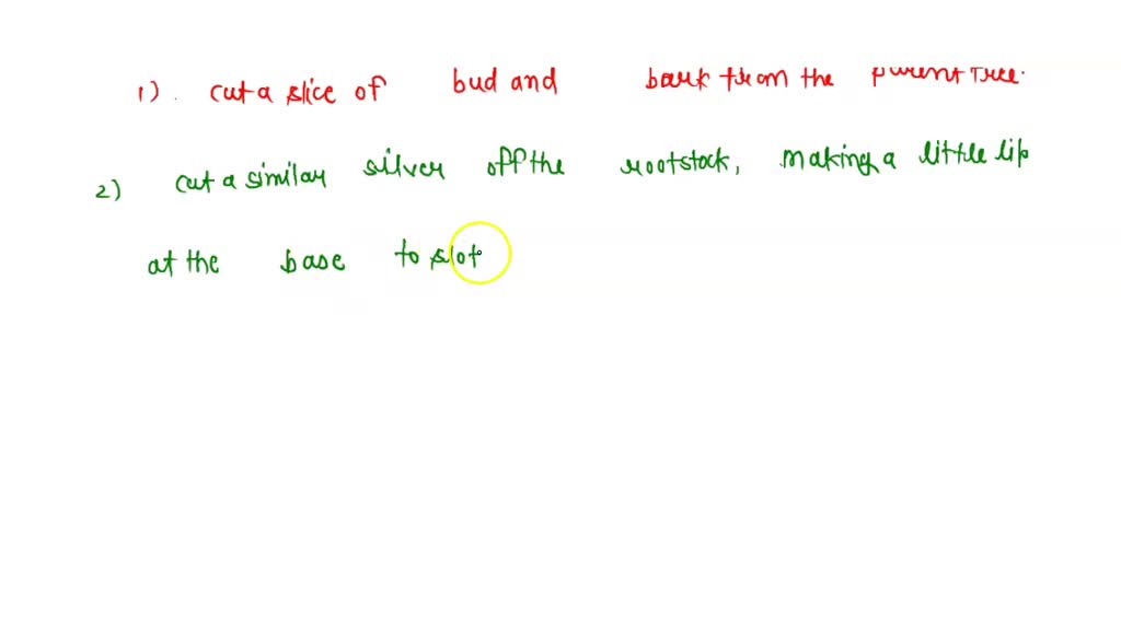SOLVED Draw inside the box 2 examples of personal protective equipment