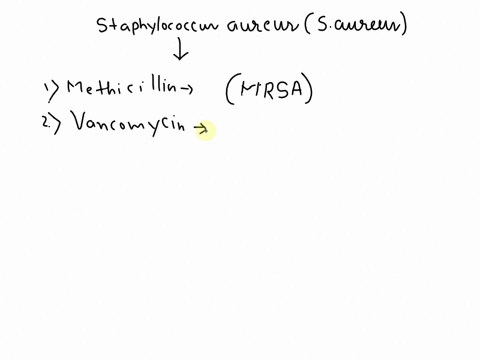 which-antibiotics-were-effective-against-aureus-99819