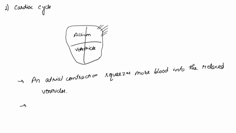 which-of-the-following-are-stages-of-the-cardiac-cycle-select-all-that-apply-an-atrial-contraction-squeezes-more-blood-into-the-relaxed-ventricles-as-relaxed-atria-fill-fluid-pressure-opens-46212