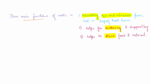 1-what-are-the-three-main-functions-of-roots-2-compare-and-contrast-monocot-and-dicot-root-systems-monocots-have-dicots-have-3-which-of-the-modified-root-systems-intrigued-the-most-why-10046
