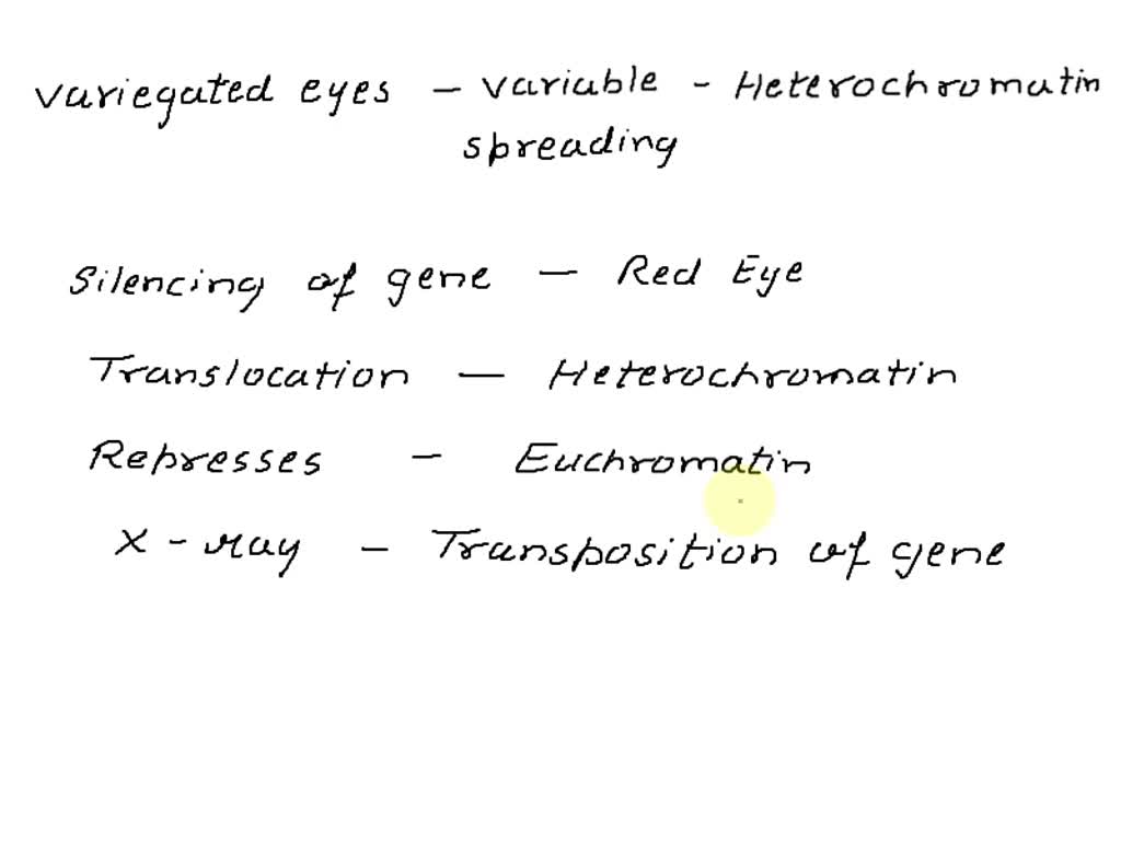 SOLVED: In Drosophila melanogaster, X-ray induced mutation resulted in ...