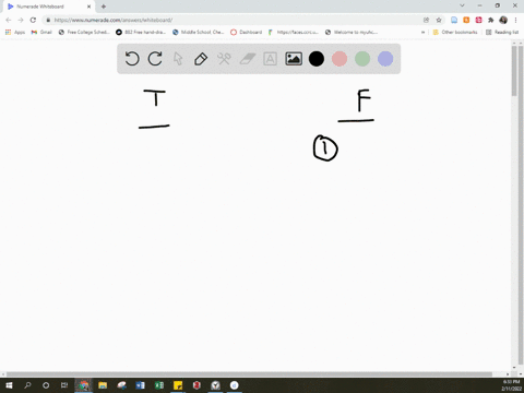classify-each-statement-about-thin-layer-chromatography-tlc-experiment-as-true-or-false-true-false-answer-bank-r-is-not-dependent-on-polarity-the-distance-the-spot-moves-is-measured-from-whe-58184