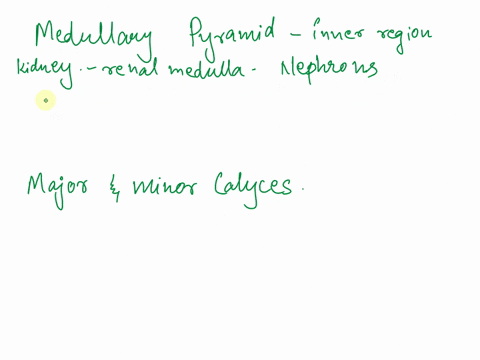 pre-lab-_-exercise-25-1-key-tou-terms-should-be-familiar-with-the-following-terms-before-coming-term-jross-structures-of-the-kidney-6-u-her-par-0-part-renal-cortex-volu-ed-fubule-5-d-con-ls-10704