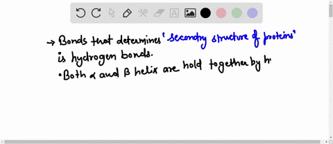 at-what-level-of-organization-in-protein-structure-are-hydrogen-bonds-between-molecules-select-one_-tertiary-primary-quaternary-secondary-81322