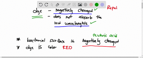 par-a-adye-molecule-is-negatively-charged-and-absorbs-all-but-the-red-wavelengths-ol-light-this-dye-would-be-colored-green-and-not-stick-to-bacteria-le-act-as-negative-stain-bo-colored-red-a-98972