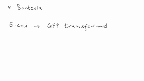 explain-the-principles-of-e-coli-gfp-transformation-66173