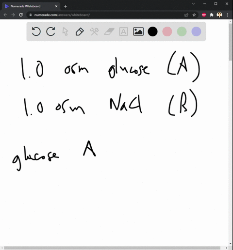 solution-a-10-osm-glucose-and-solution-b-10-osm-nacl-are-separated-by-a-dialysis-membrane-if-the-membrane-is-spontaneously-permeable-to-glucose-nacl-and-water-what-is-the-initial-reaction-of-96165