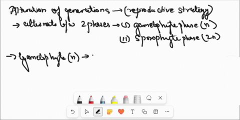 briefly-describe-alternation-of-generations-in-plants-be-sure-to-include-a-description-of-what-alternation-of-generations-is-24315