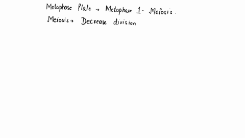 at-the-metaphase-plate-during-metaphase-of-mitosis-there-are-a-single-chromosomes-b-duplicated-chrom-35643