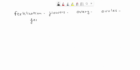 in-which-part-of-the-flower-does-fertilization-take-place-69478